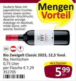 Kastner Bio Zweigelt Classic 2023 Angebot