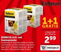 Interspar Barbecue Grill- und Kaminanzünder Angebot