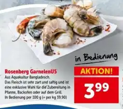 Interspar Rosenberg GarnelenU5 Angebot