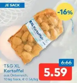T&G T&G XL Kartoffel Angebot