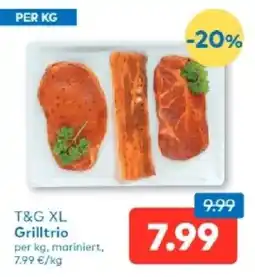 T&G T&G XL Grilltrio Angebot