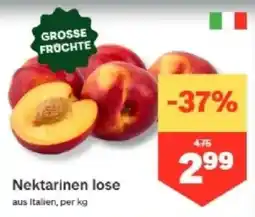 MPreis Nektarinen lose Angebot