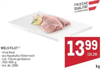 Wels filet