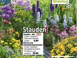 Bauhaus Stauden - mix Angebot