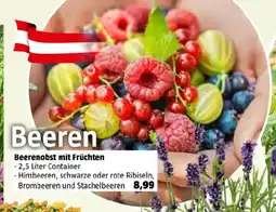 Bauhaus Beerenobst mit Früchten Angebot
