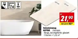 Bauhaus Feinsteinzeug alpina Angebot