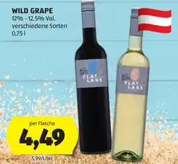 Hofer Wild Grape Flat Lake Angebot
