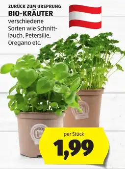 Hofer Bio-Kräuter Angebot