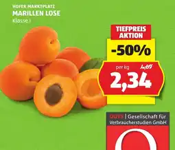 Hofer Marillen Lose Angebot