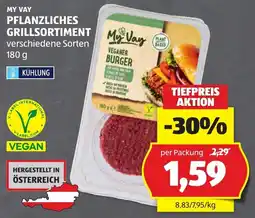 Hofer My Vay Veganer Burger Angebot