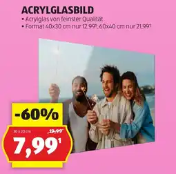 Hofer Acrylglasbild Angebot