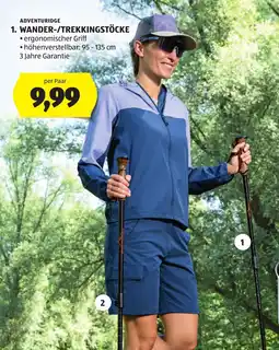 Hofer Adventuridge Wander-/Trekkingstöcke Angebot