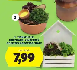 Hofer Zinkschale, Holzhaus, Zinkeimer oder Terrakottaschale Angebot