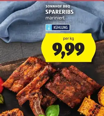 Hofer Sonnhof BBQ Spareribs mariniert Angebot