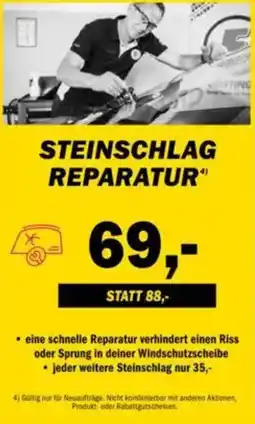 Forstinger Steinschlag Reparatur Angebot