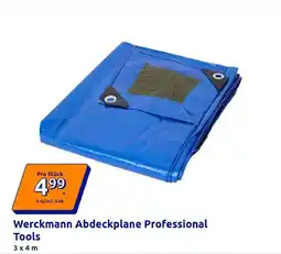 Action Werckmann Abdeckplane Professional Tools Angebot