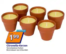Action Citronella-Kerzen Angebot