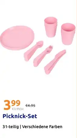 Action Picknick Set Angebot