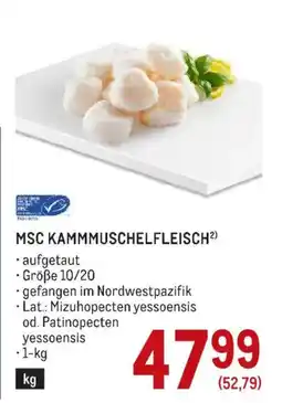 Metro MSC Kammuschelfleisch Angebot