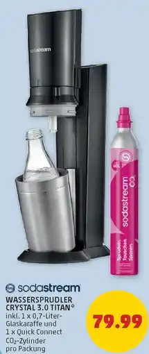 PENNY Wassersprudler crystal 3.0 titan Angebot