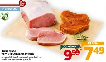 Billa Karreerose vom STROHwohlschwein Angebot
