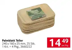 Transgourmet Palmbblatt Teller Angebot