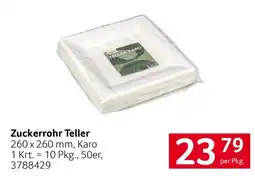 Transgourmet Zuckerrohr Teller Angebot