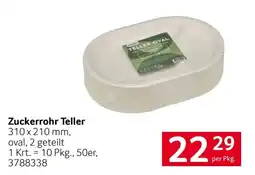 Transgourmet Zuckerrohr Teller Angebot