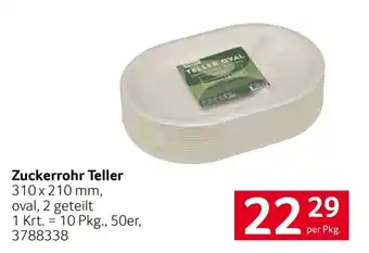Zuckerrohr Teller
