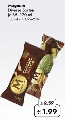 Travel FREE Magnum Angebot