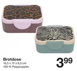 Zeeman Brotdose Angebot