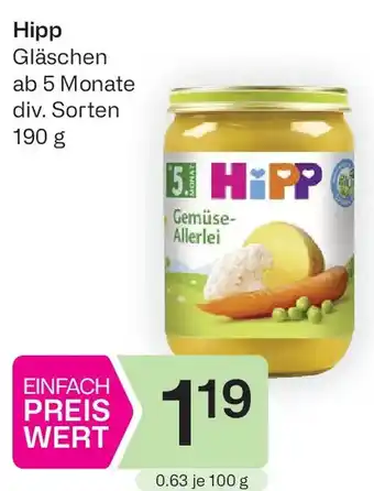 Bipa Hipp Gläschen Angebot
