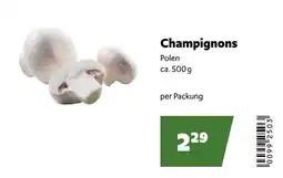 Eurogast Grissemann Champignons Polen Angebot