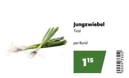 Eurogast Grissemann Jungzwiebel Tirol Angebot