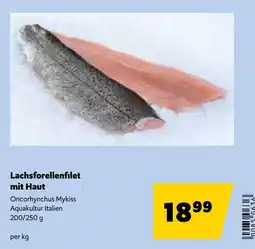 Eurogast Grissemann Lachsforellenfilet mit Haut Angebot