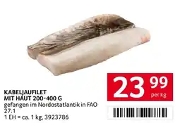 Transgourmet Kabeljaufilet mit Haut Angebot