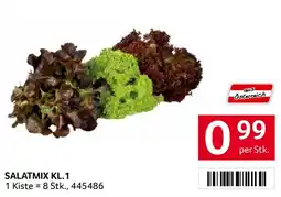 Transgourmet Salatmix KL.1 Angebot