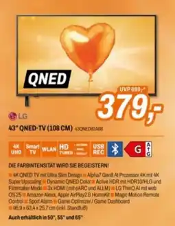Expert LG 43" QNED-TV (108 CM) Angebot