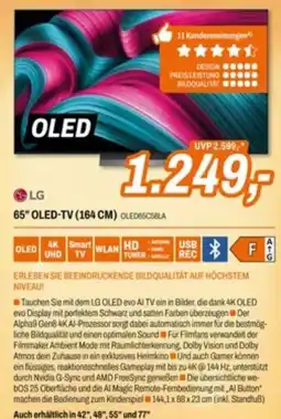 Expert LG 65" OLED-TV (164 CM) Angebot