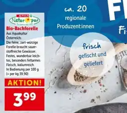 Interspar Bio-Bachforelle Angebot
