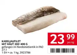 Transgourmet Kabeljaufilet mit Haut Angebot