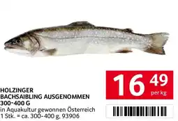 Transgourmet Holzinger Bachsaibling Ausgenommen Angebot