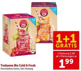 Teekanne Bio Cold & Fresh