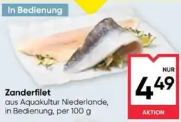 Maximarkt Zanderfilet Angebot