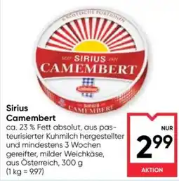 Maximarkt Sirius Camembert Angebot