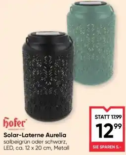 Maximarkt hofer Solar-Laterne Aurelia Angebot