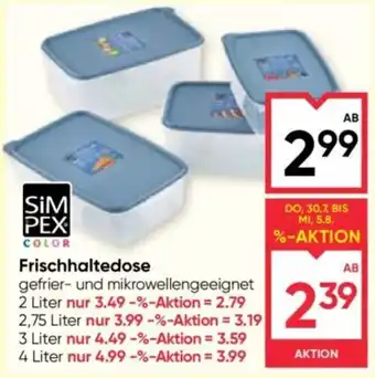 Maximarkt SimPex Color Frischhaltedose Angebot
