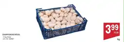 Metro Champignons weiß Angebot