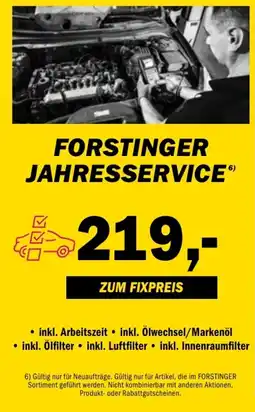 Forstinger Jahresservice Angebot