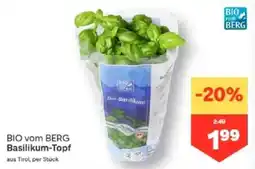 MPreis BIO vom BERG Basilikum-Topf Angebot